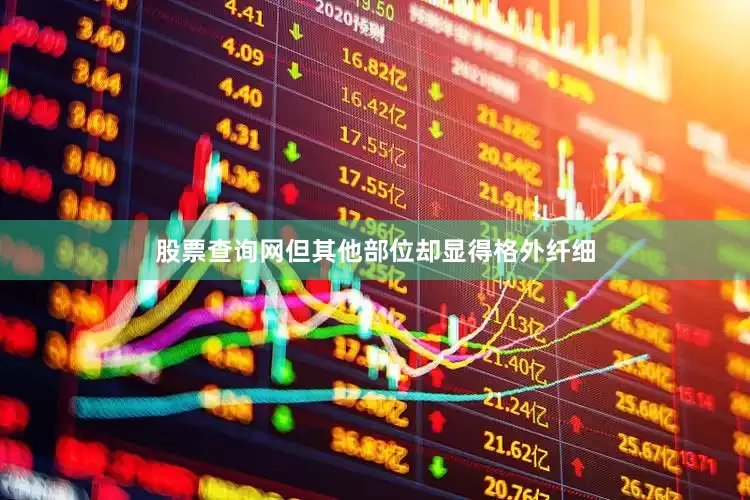 股票查询网但其他部位却显得格外纤细