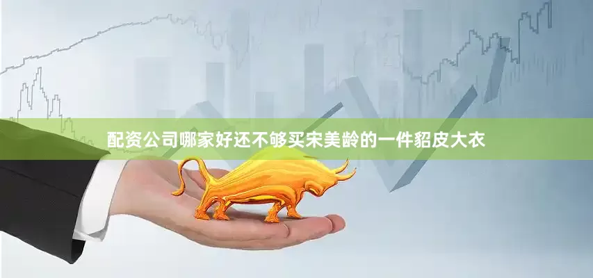 配资公司哪家好还不够买宋美龄的一件貂皮大衣